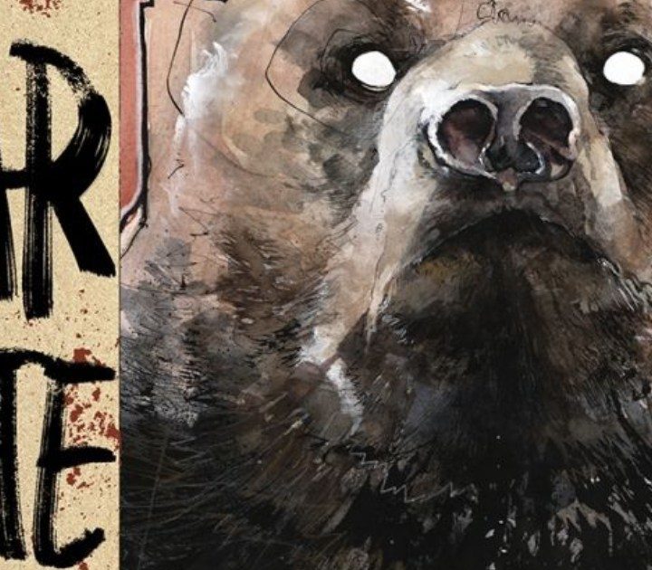 Image Comics Unveils New Series: Bear Pirate Viking Queen