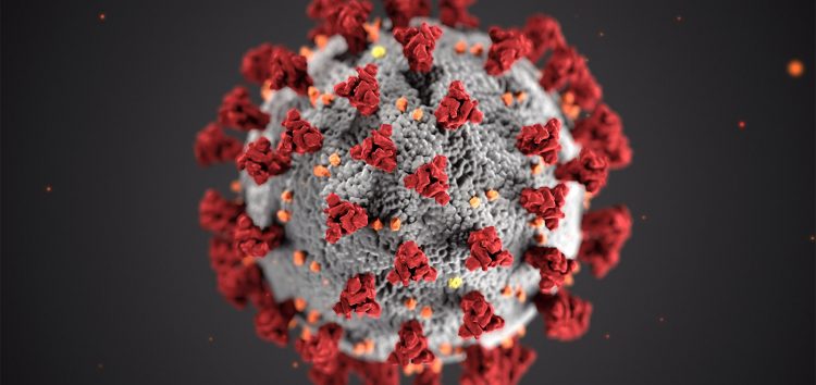 Coronavirus SARS CoV 2 de CDC en Unsplash