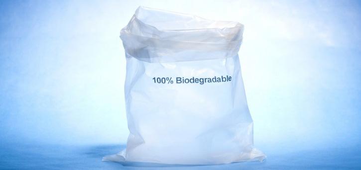 Biodegradable cropped 725x342 1