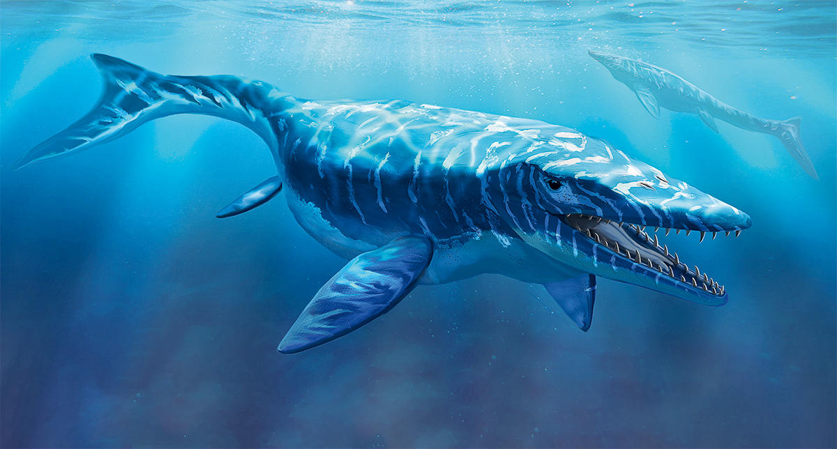 There Lived A Giant Sea Monster When Dinosaurs Were Alive! - The UBJ -  United Business Journal