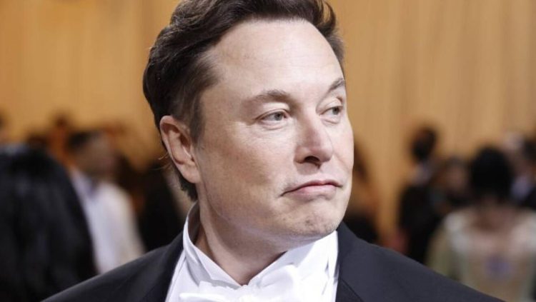 Elon Musk halts Twitter deal due to fake account details