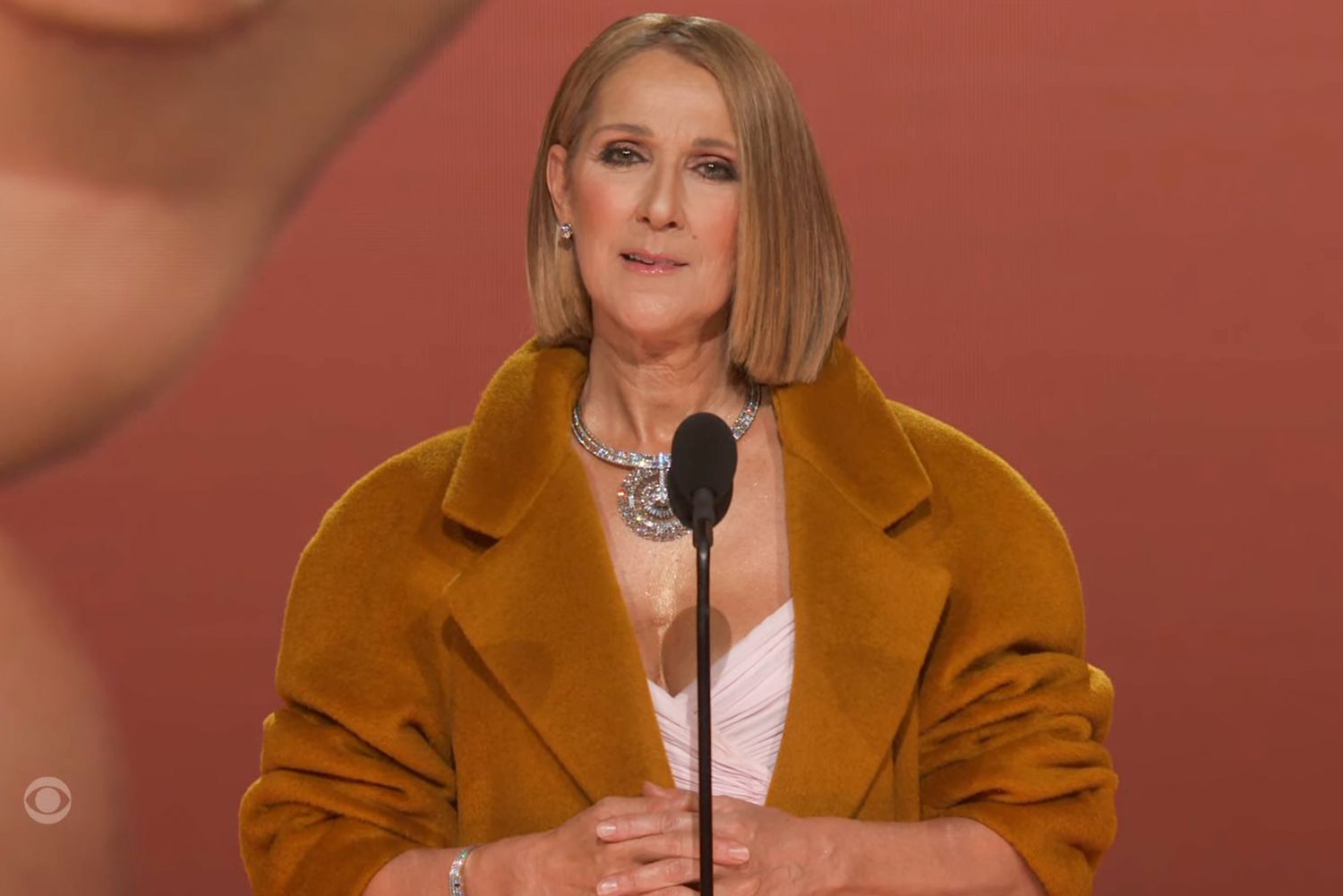 Celine Dion's Sister Opens Up About StiffPerson Syndrome, Describing