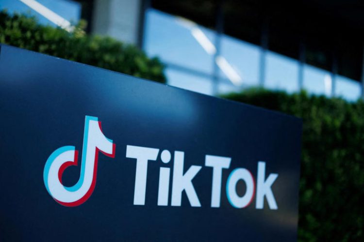 TikTok’s US sales reportedly hit $16 billion last year. REUTERS
© Provided by New York Post