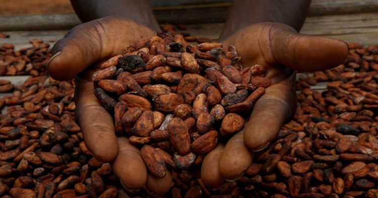A farmers holds cocoa beans while he is drying them at a village in Sinfra, Ivory Coast, on April 29, 2023.
© Provided by CNBC
