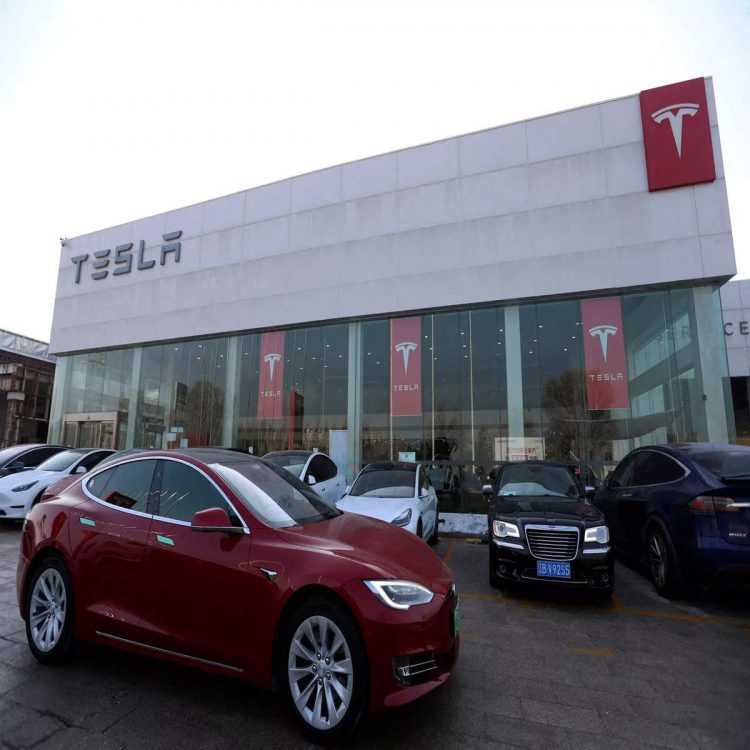 tesla shares skid after china sales fell to the lowest level in over a year