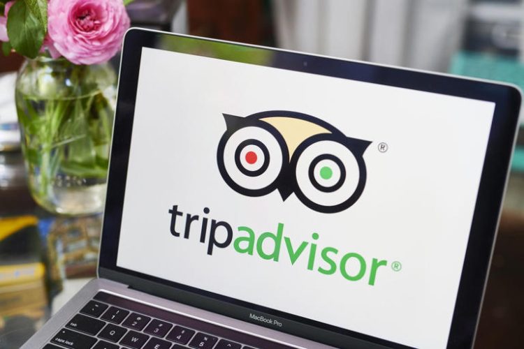 Tripadvisor stock fell on Wednesday after the company said it is not being acquired.