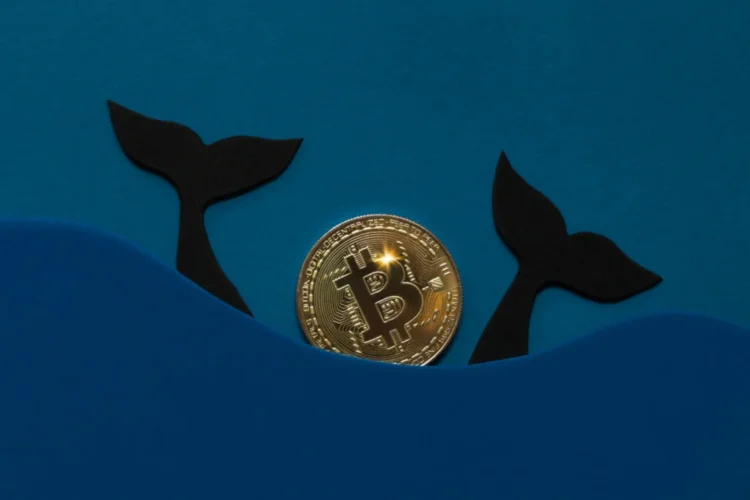 Bitcoin Whales Unload Over $1 Billion in Shift Towards AI Investments