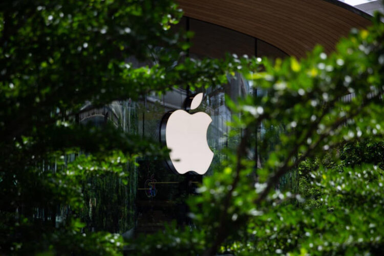 Apple Stock Has Been on a Tear. One Analyst Sees a Growing Risk.
