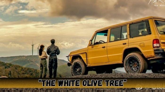 Jadwal Tayang The White Olive Tree Drama China Upcoming Genre Military