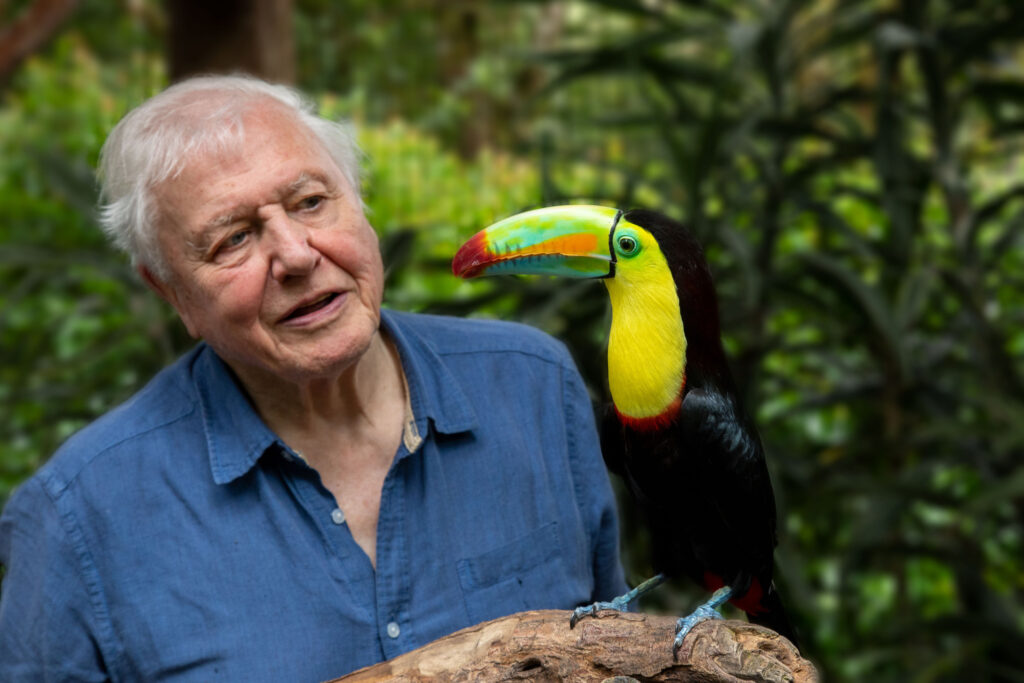 Life in Colour. Attenborough with toucan 7e53b6e